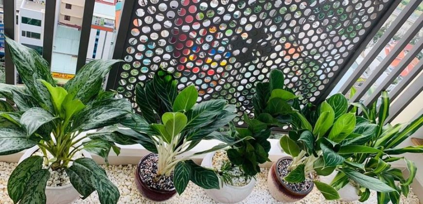 Bán căn hộ Sài Gòn Mia Bình Chánh, 2 phòng ngủ, hoàn thiện cơ bản – 0901.959.477