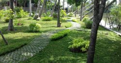 Bán nền đất ngang 8x15m(120m) MT đường nhựa 8m Quốc Lộ 50 cách Bến Xe Q8 1Km, Giá 4,4 tỷ